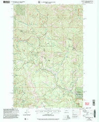 Blewett Pass Washington Historical topographic map, 1:24000 scale, 7.5 X 7.5 Minute, Year 2003