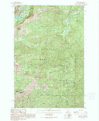 Blewett Washington Historical topographic map, 1:24000 scale, 7.5 X 7.5 Minute, Year 1989