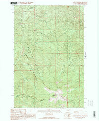 Blowout Mountain Washington Historical topographic map, 1:24000 scale, 7.5 X 7.5 Minute, Year 1989