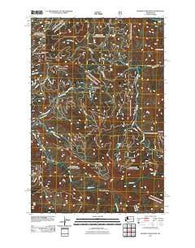 Blowout Mountain Washington Historical topographic map, 1:24000 scale, 7.5 X 7.5 Minute, Year 2011