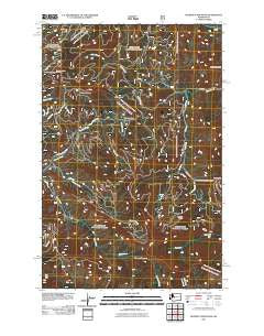 Blowout Mountain Washington Historical topographic map, 1:24000 scale, 7.5 X 7.5 Minute, Year 2011