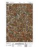 Blowout Mountain Washington Historical topographic map, 1:24000 scale, 7.5 X 7.5 Minute, Year 2011