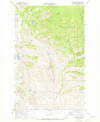 Blue Buck Mtn Washington Historical topographic map, 1:24000 scale, 7.5 X 7.5 Minute, Year 1969