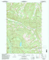 Blue Lake Washington Historical topographic map, 1:24000 scale, 7.5 X 7.5 Minute, Year 1994