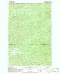 Blue Mountain Washington Historical topographic map, 1:24000 scale, 7.5 X 7.5 Minute, Year 1986