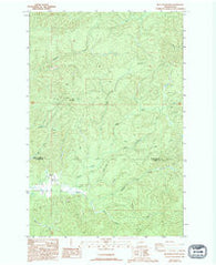 Blue Mountain Washington Historical topographic map, 1:24000 scale, 7.5 X 7.5 Minute, Year 1986