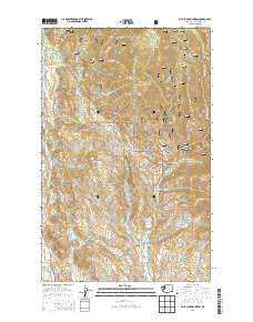 Blue Buck Mountain Washington Current topographic map, 1:24000 scale, 7.5 X 7.5 Minute, Year 2014