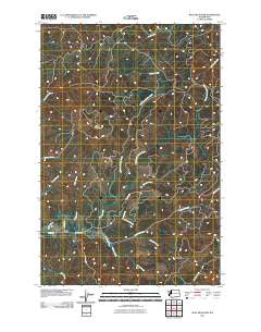 Blue Mountain Washington Historical topographic map, 1:24000 scale, 7.5 X 7.5 Minute, Year 2011