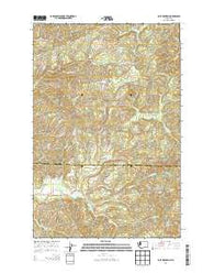 Blue Mountain Washington Current topographic map, 1:24000 scale, 7.5 X 7.5 Minute, Year 2014