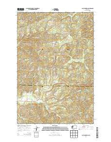 Blue Mountain Washington Current topographic map, 1:24000 scale, 7.5 X 7.5 Minute, Year 2014