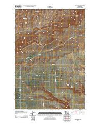 Bluelight Washington Historical topographic map, 1:24000 scale, 7.5 X 7.5 Minute, Year 2011
