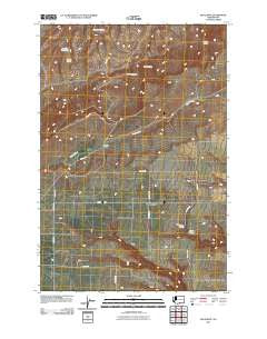 Bluelight Washington Historical topographic map, 1:24000 scale, 7.5 X 7.5 Minute, Year 2011