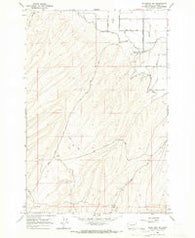 Bluelight NW Washington Historical topographic map, 1:24000 scale, 7.5 X 7.5 Minute, Year 1965