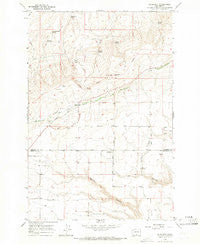Bluelight Washington Historical topographic map, 1:24000 scale, 7.5 X 7.5 Minute, Year 1965