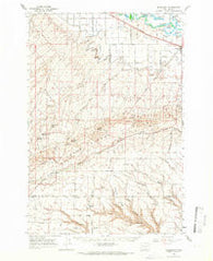 Bluelight Washington Historical topographic map, 1:62500 scale, 15 X 15 Minute, Year 1965