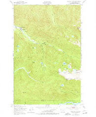 Bogachiel Peak Washington Historical topographic map, 1:24000 scale, 7.5 X 7.5 Minute, Year 1950