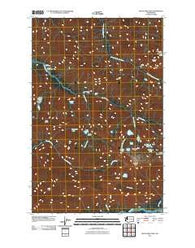 Bogachiel Peak Washington Historical topographic map, 1:24000 scale, 7.5 X 7.5 Minute, Year 2011