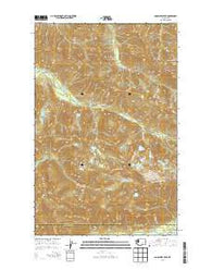 Bogachiel Peak Washington Current topographic map, 1:24000 scale, 7.5 X 7.5 Minute, Year 2014