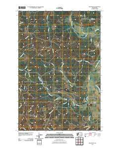 Boistfort Washington Historical topographic map, 1:24000 scale, 7.5 X 7.5 Minute, Year 2011