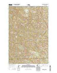 Boistfort Peak Washington Current topographic map, 1:24000 scale, 7.5 X 7.5 Minute, Year 2013