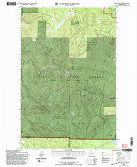 Boyer Mtn Washington Historical topographic map, 1:24000 scale, 7.5 X 7.5 Minute, Year 1992