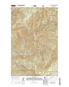 Boyer Mountain Washington Current topographic map, 1:24000 scale, 7.5 X 7.5 Minute, Year 2014