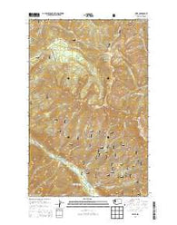 Brief Washington Current topographic map, 1:24000 scale, 7.5 X 7.5 Minute, Year 2014