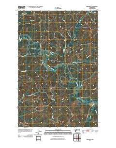 Brooklyn Washington Historical topographic map, 1:24000 scale, 7.5 X 7.5 Minute, Year 2011