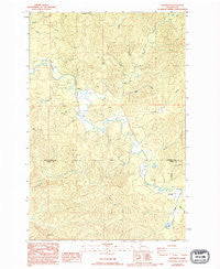 Brooklyn Washington Historical topographic map, 1:24000 scale, 7.5 X 7.5 Minute, Year 1986