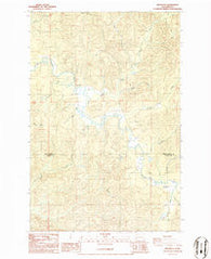 Brooklyn Washington Historical topographic map, 1:24000 scale, 7.5 X 7.5 Minute, Year 1986