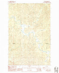 Brooklyn Washington Historical topographic map, 1:24000 scale, 7.5 X 7.5 Minute, Year 1986