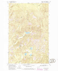 Browns Lake Washington Historical topographic map, 1:24000 scale, 7.5 X 7.5 Minute, Year 1968