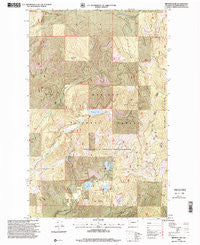 Browns Lake Washington Historical topographic map, 1:24000 scale, 7.5 X 7.5 Minute, Year 1996