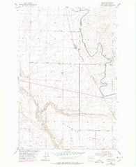 Bruce Washington Historical topographic map, 1:24000 scale, 7.5 X 7.5 Minute, Year 1954