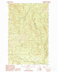 Buck Mountain Washington Historical topographic map, 1:24000 scale, 7.5 X 7.5 Minute, Year 1989