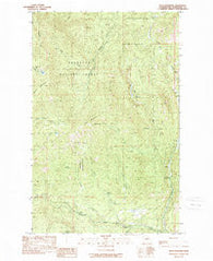 Buck Mountain Washington Historical topographic map, 1:24000 scale, 7.5 X 7.5 Minute, Year 1989