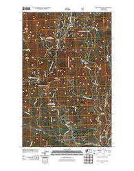 Buck Mountain Washington Historical topographic map, 1:24000 scale, 7.5 X 7.5 Minute, Year 2011