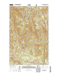 Buck Mountain Washington Current topographic map, 1:24000 scale, 7.5 X 7.5 Minute, Year 2014