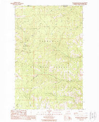 Buckhorn Mountain Washington Historical topographic map, 1:24000 scale, 7.5 X 7.5 Minute, Year 1988