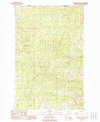 Buckhorn Mountain Washington Historical topographic map, 1:24000 scale, 7.5 X 7.5 Minute, Year 1988