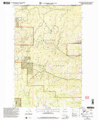 Buckhorn Mountain Washington Historical topographic map, 1:24000 scale, 7.5 X 7.5 Minute, Year 2001