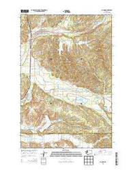 Bucoda Washington Current topographic map, 1:24000 scale, 7.5 X 7.5 Minute, Year 2013