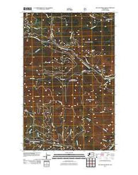 Bulldog Mountain Washington Historical topographic map, 1:24000 scale, 7.5 X 7.5 Minute, Year 2011