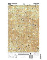 Bulldog Mountain Washington Current topographic map, 1:24000 scale, 7.5 X 7.5 Minute, Year 2014
