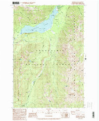 Bumping Lake Washington Historical topographic map, 1:24000 scale, 7.5 X 7.5 Minute, Year 1988