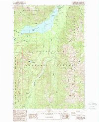 Bumping Lake Washington Historical topographic map, 1:24000 scale, 7.5 X 7.5 Minute, Year 1988