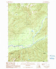 Bunch Lake Washington Historical topographic map, 1:24000 scale, 7.5 X 7.5 Minute, Year 1990