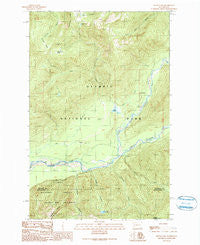 Bunch Lake Washington Historical topographic map, 1:24000 scale, 7.5 X 7.5 Minute, Year 1990