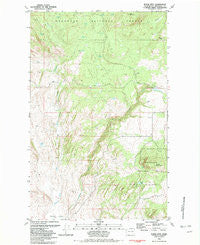 Burge Mtn Washington Historical topographic map, 1:24000 scale, 7.5 X 7.5 Minute, Year 1981