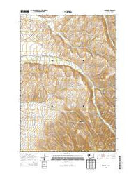 Buroker Washington Current topographic map, 1:24000 scale, 7.5 X 7.5 Minute, Year 2014